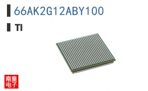 66AK2G12ABY100
