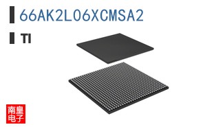 66AK2L06XCMSA2